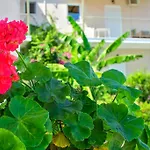 Lejlighedshotel Bay Sami (Kefalonia)