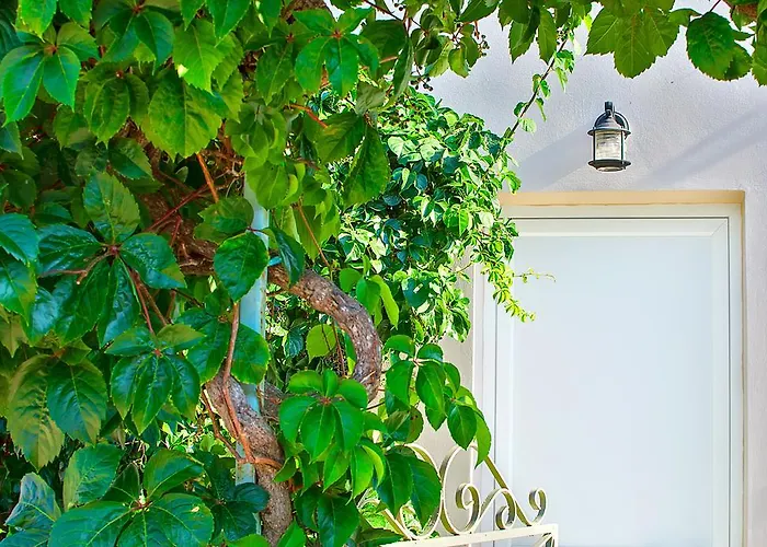 Bay Sami (Kefalonia)