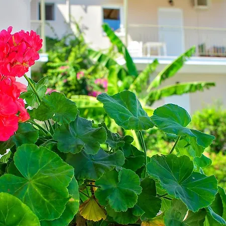 Apart-hotel Bay Sami (Kefalonia)