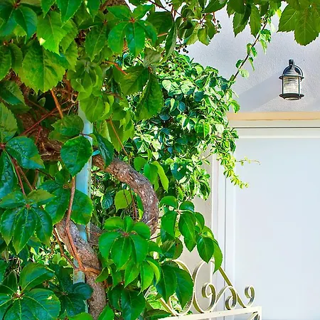 Bay Sami (Kefalonia)