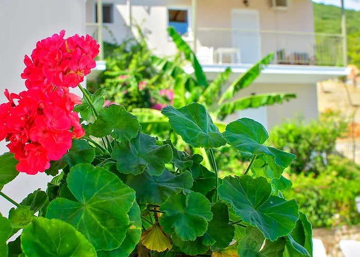 Apartahotel Bay Sami (Kefalonia)